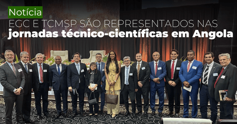 Conselheiro João Antonio e diretor-presidente da EGC destacam em Angola a importância das políticas públicas em favor da Primeira Infância